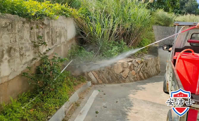 南湖区道路堤坝白蚁防治
