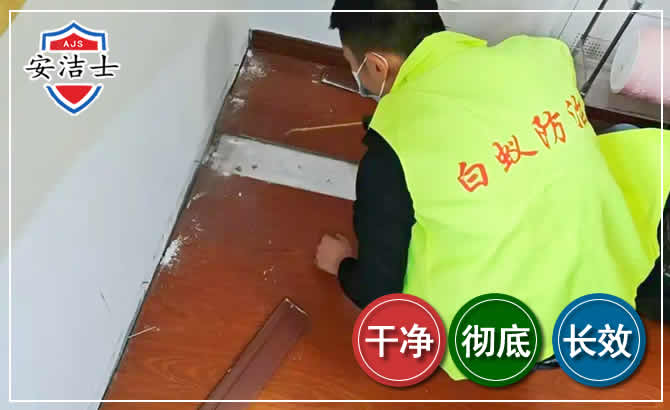 南湖区除四害现场