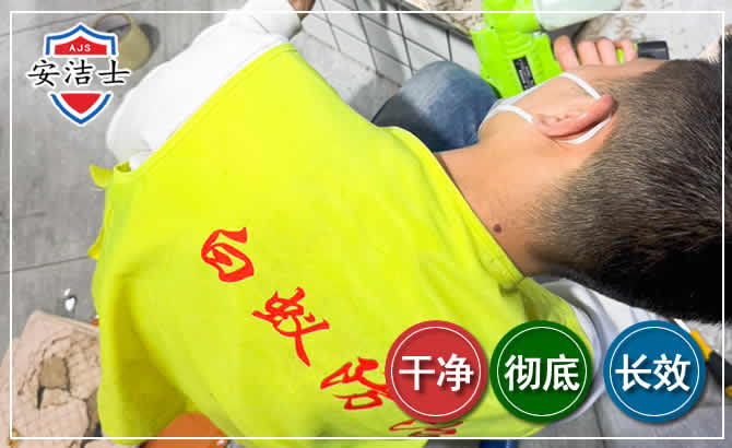 南湖区白蚁根治现场